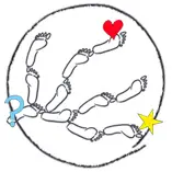 Loopbaanbegeleiding